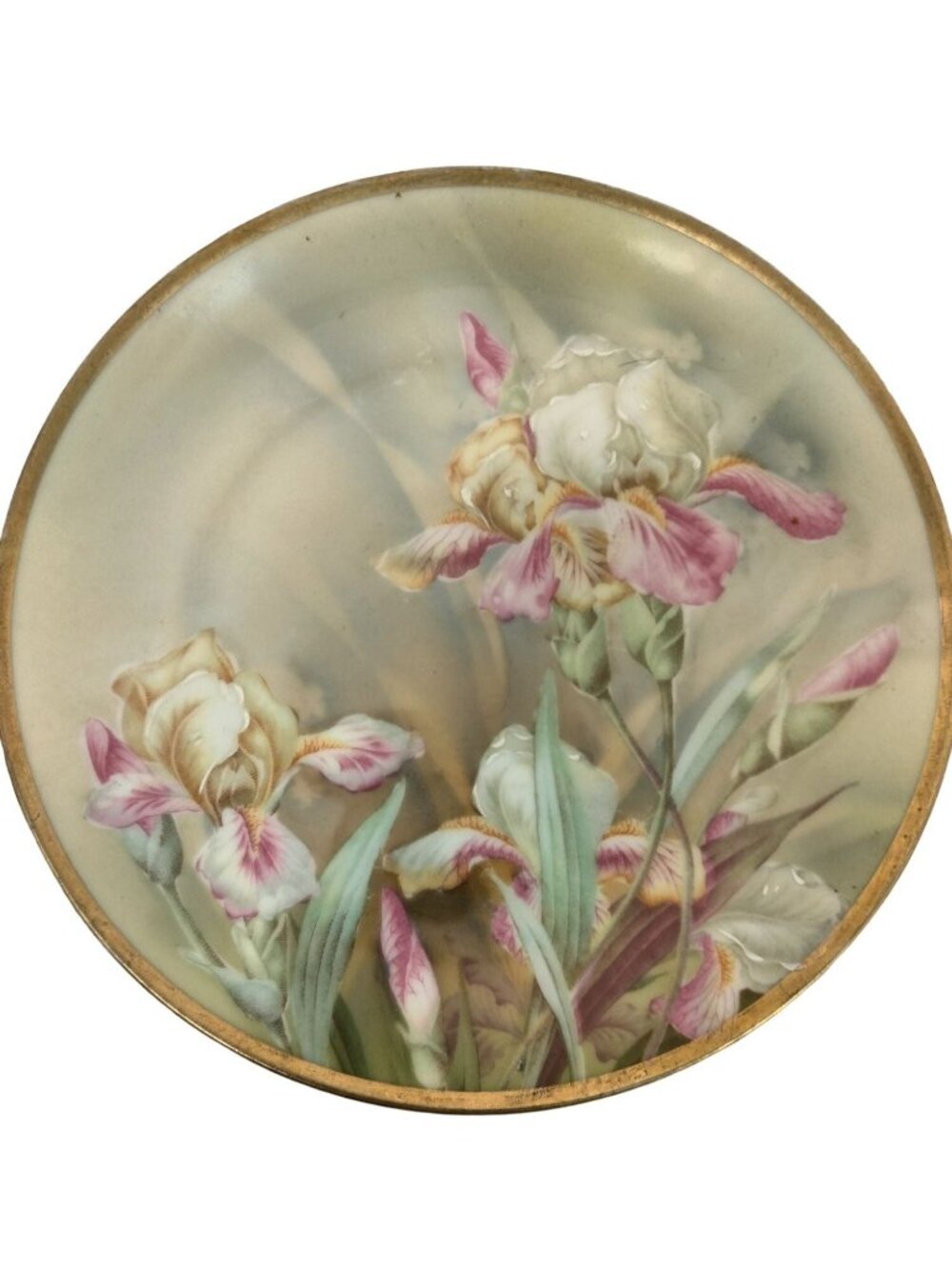 KPM Iris Plate Germany Floral Garden Spring Grannycore Gold Trim 8 inch Numbered